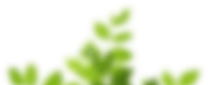 Leaf decoration