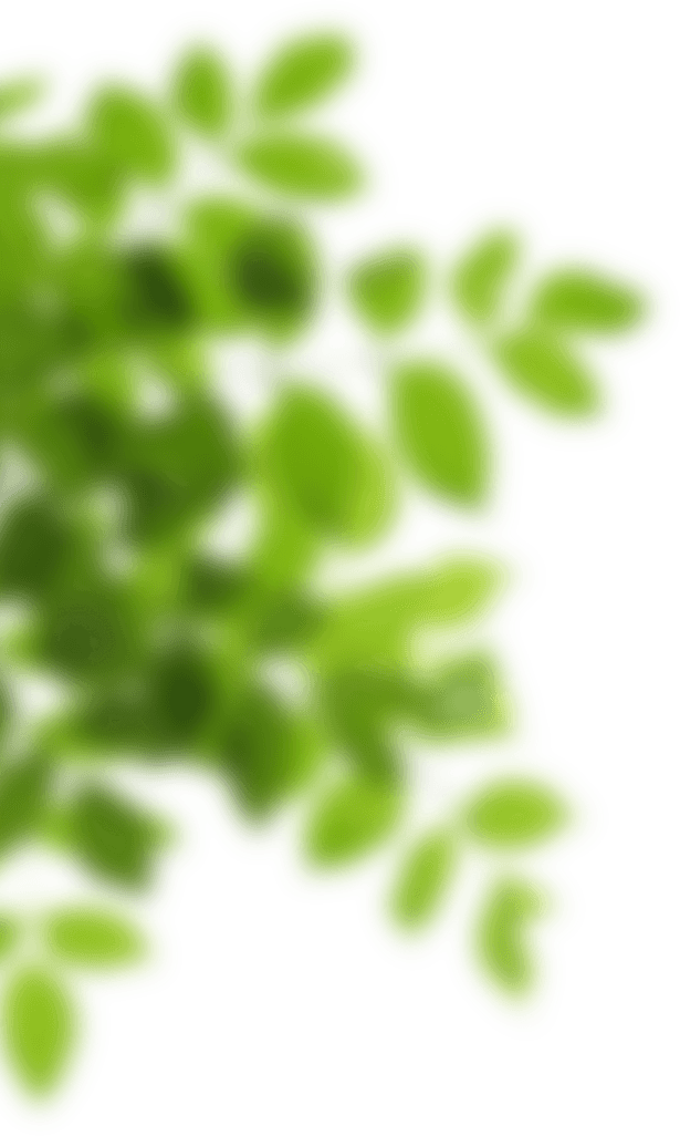 leaf-left