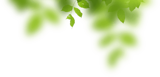 Leaf decoration