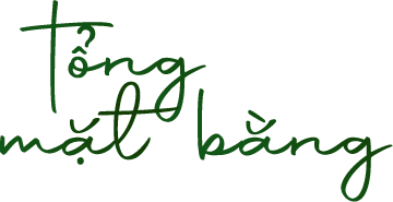text-tong